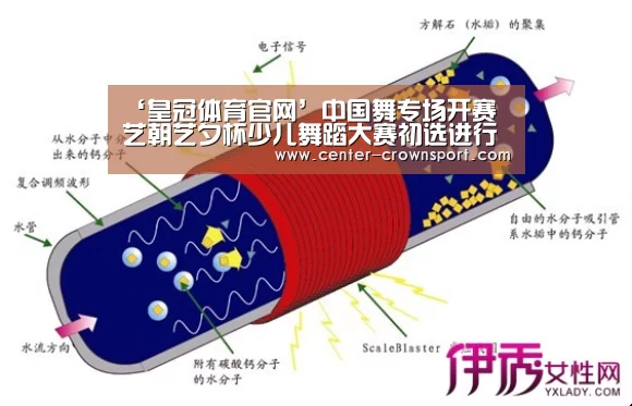 皇冠入口