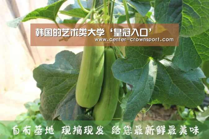 韩国的艺术类大学‘皇冠入口’(图4) 皇冠体育网址